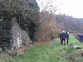 Foxhole coal staithes (4)