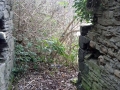 Foxhole coal staithes (5)