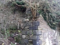 Foxhole coal staithes (7)